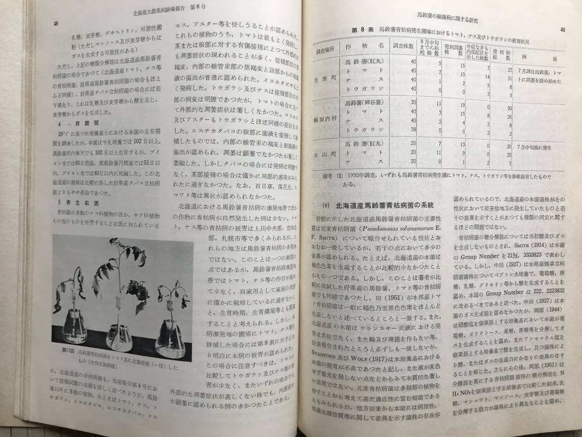 『北海道立農業試験場報告 第8号 北海道における馬鈴薯の細菌病に関する研究』技師・農学博士 成田武四 1958年 ※輪腐病・青枯病 他 00599_画像9