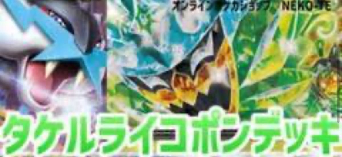専用出品ポケモンカード ポケカ ライコポン デッキ 構築済み 専用出品ポケモンカード ポケカ ライコポン デッキ 構築済み