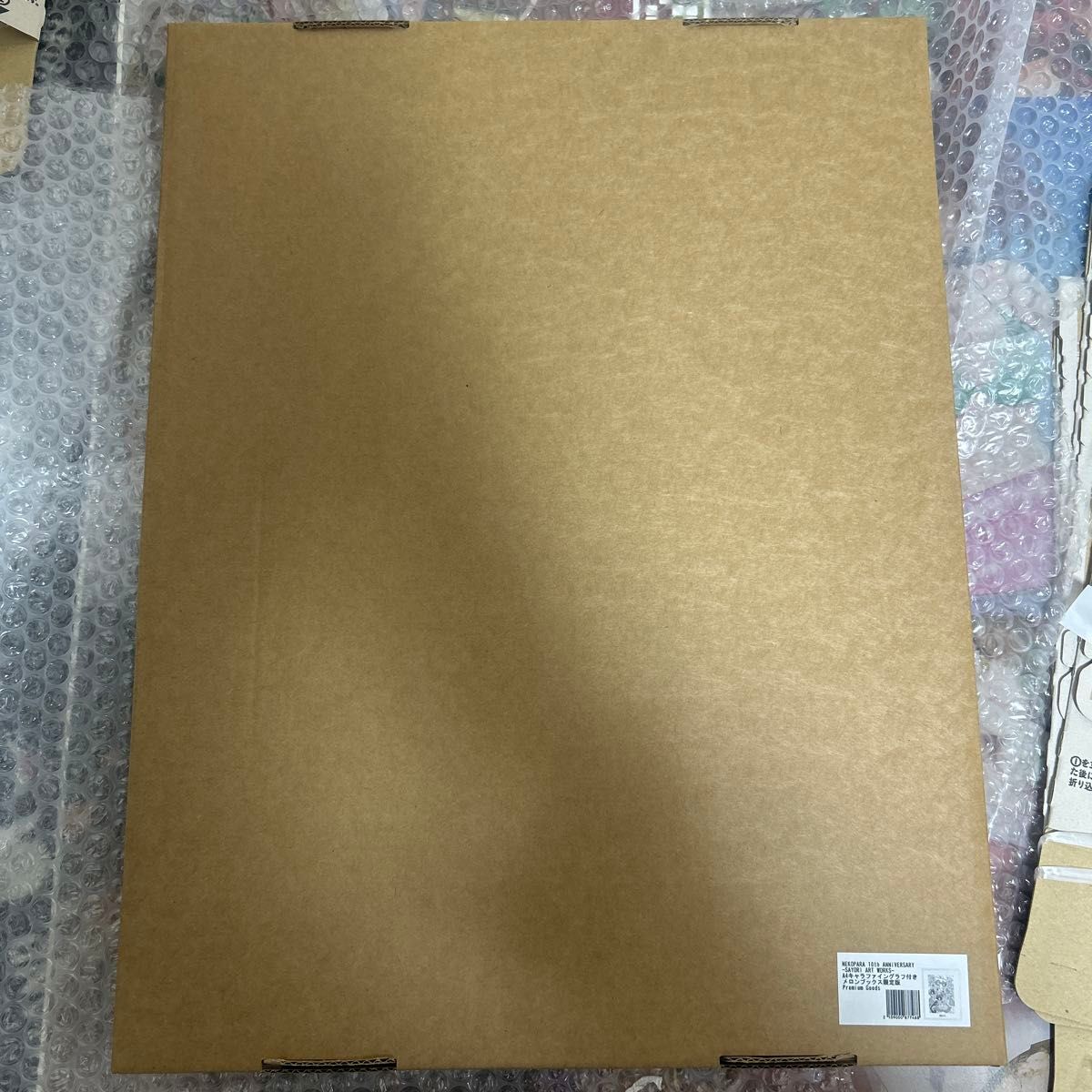 NEKOPARA 10th ANNIVERSARY -SAYORI ART WORKS- A4キャラ NEKOPARA 10th ANNIVERSARY -SAYORI ART WORKS- A4キャラ