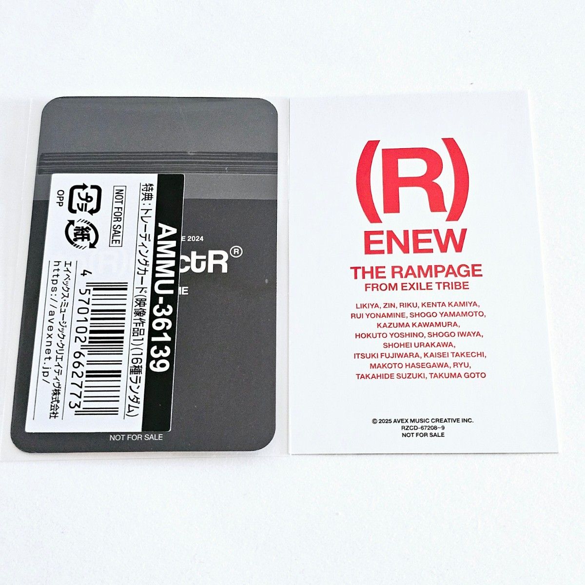 THE RAMPAGE (R)ENEW アルバムフォトカード トレーディング THE RAMPAGE (R)ENEW アルバムフォトカード トレーディング