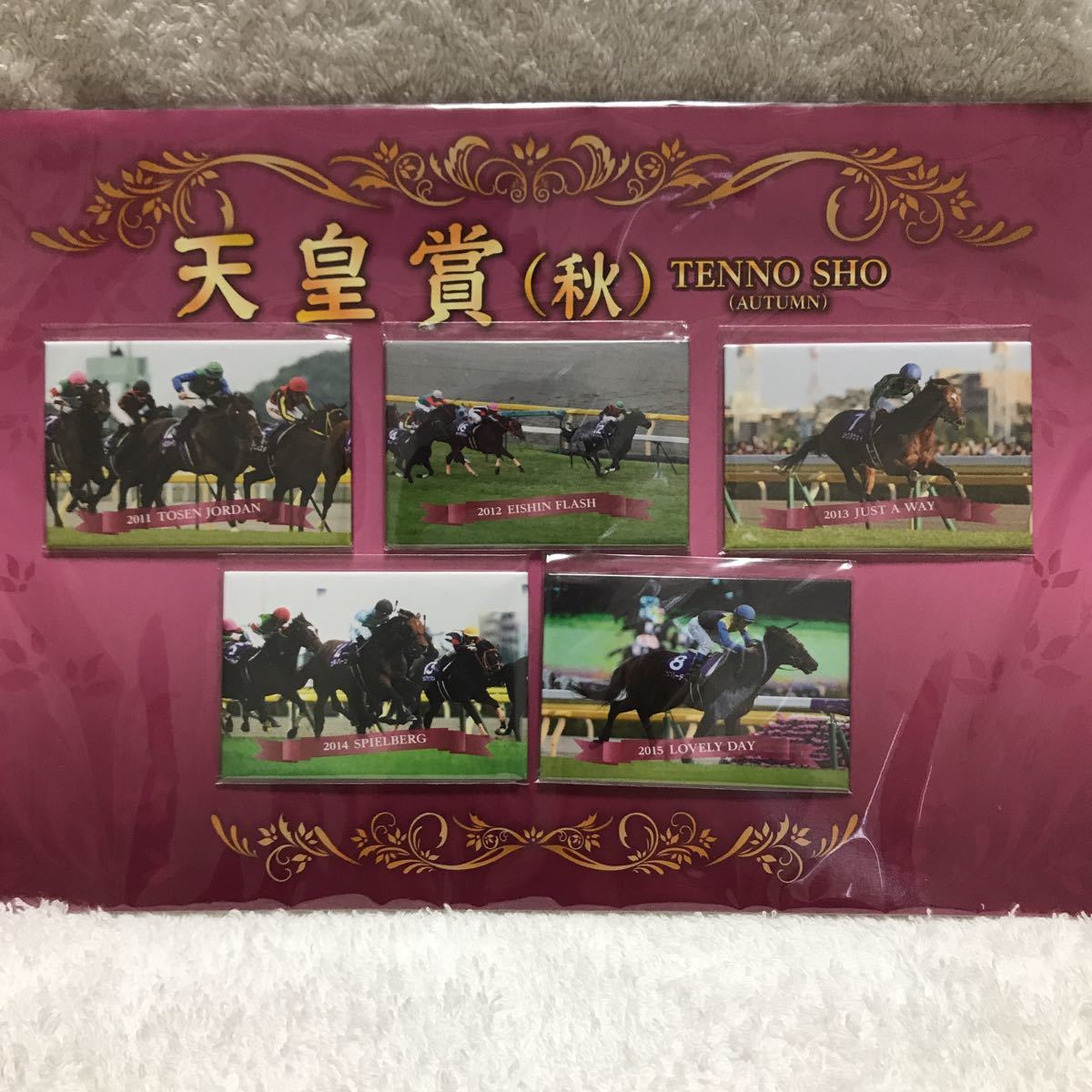 ★☆GⅠ 歴代天皇賞・秋 優勝馬 マグネットセット☆★_画像1