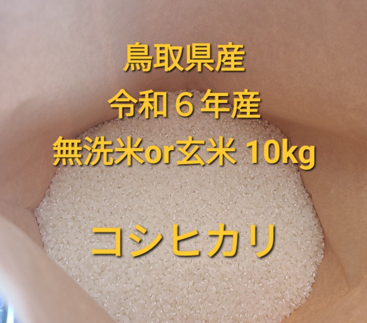 令和6年産 鳥取県産 コシヒカリ 10kg