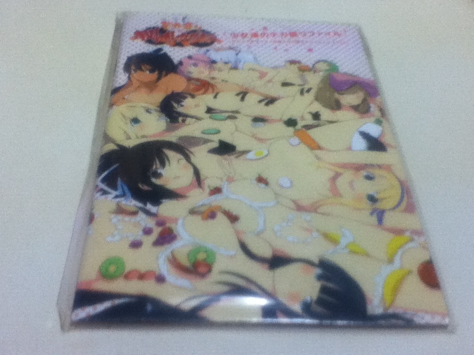 ヤフオク ゲーム特典 デカ盛り 閃乱カグラ 少女達のデカ盛 ヤフオク ゲーム特典 デカ盛り 閃乱カグラ 少女達のデカ盛