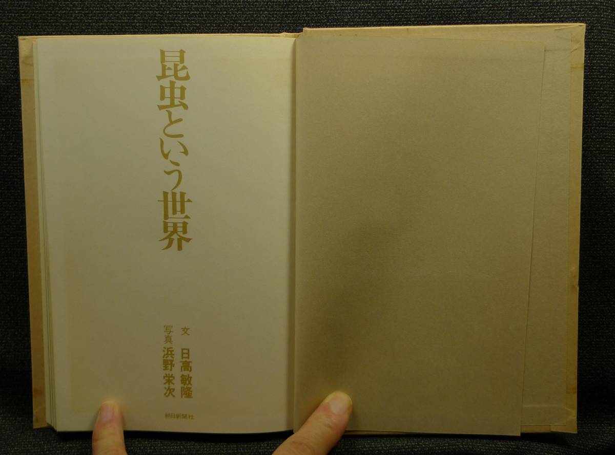 【希少】【美品、箱付き】古本　昆虫という世界　日高敏隆著、浜野栄次写真　朝日新聞社_画像3