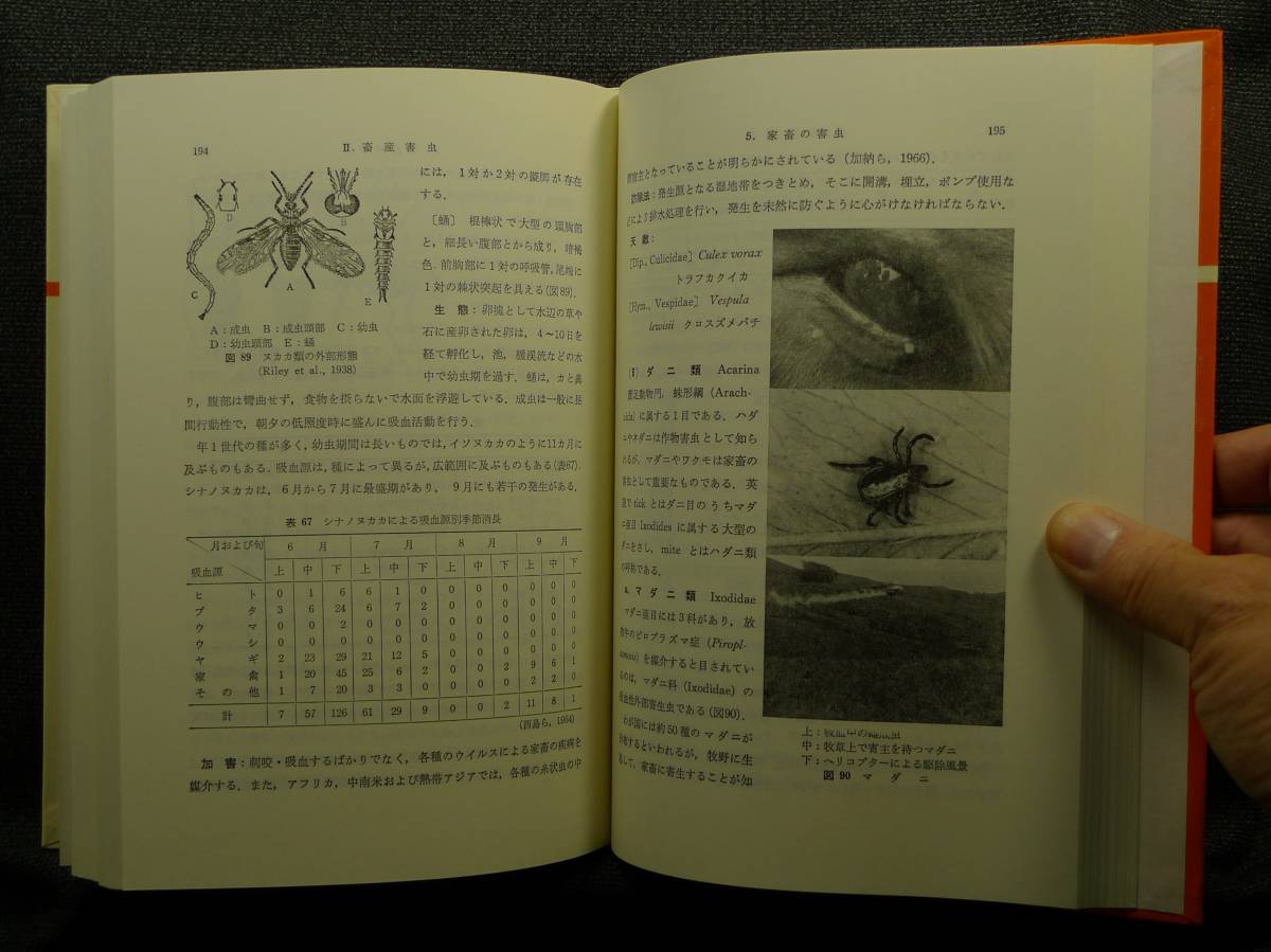 【超希少】【美品】古本　畜産昆虫学　坂本与市、岡田一次編著　文永堂出版（株）_画像5