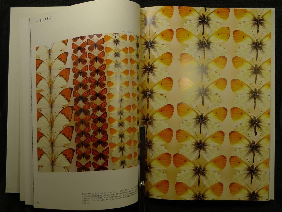 [ super rare ][ beautiful goods ] secondhand book butterfly LIVING IN JAPAN Ishikawa .. work,.. regular Akira photographing ( stock )palas