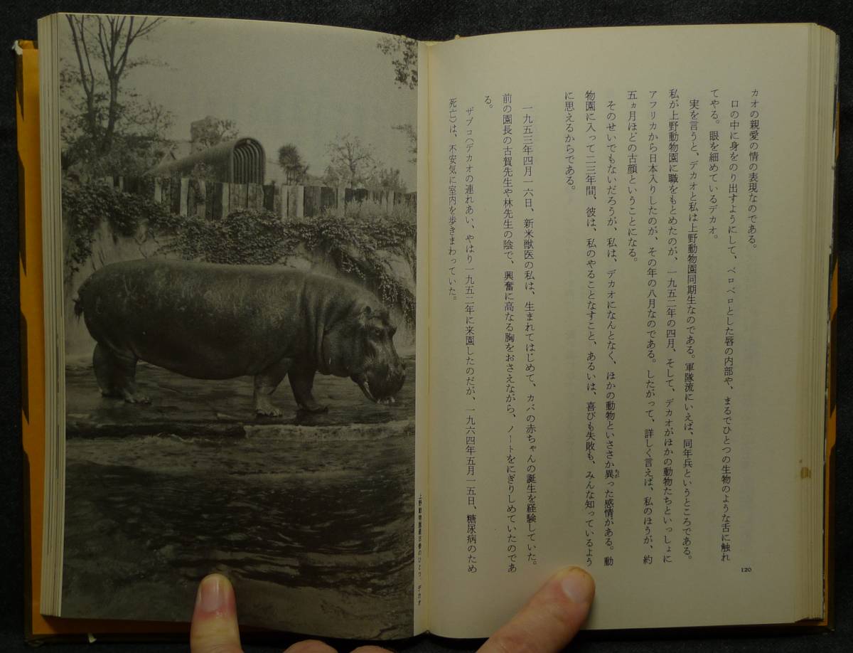 【超希少】【初版、美品】古本　動物園の季節　中川志郎／著　築地書館（株）_画像7