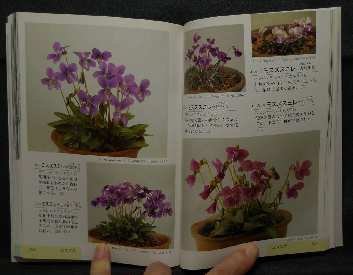 [ super rare ][ the first version, beautiful goods ] secondhand book sumire illustrated reference book sumire 265 goods kind ..... separate volume hobby. fields and mountains grass author / rice field ...( stock ).. leaf bookstore 