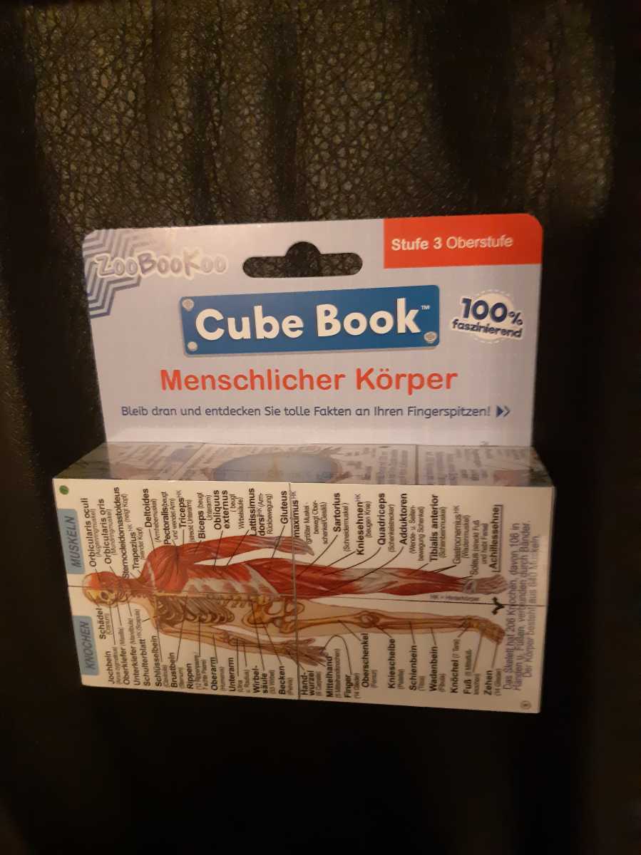 Cube Box　 мускул   мясо 