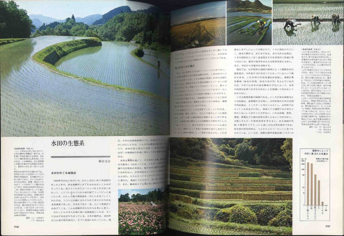 【d8965】77.7.3 週刊朝日百科「世界の植物」84／作物のある風景_画像3