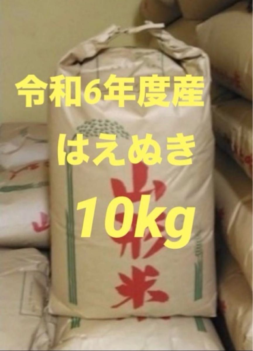 令和6年度産 はえぬき 10kg