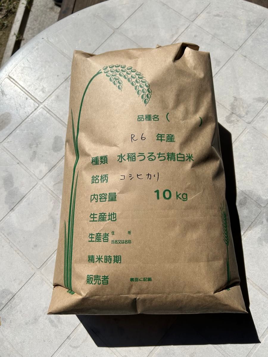 コシヒカリ 玄米10キロ 令和6年淡路島産