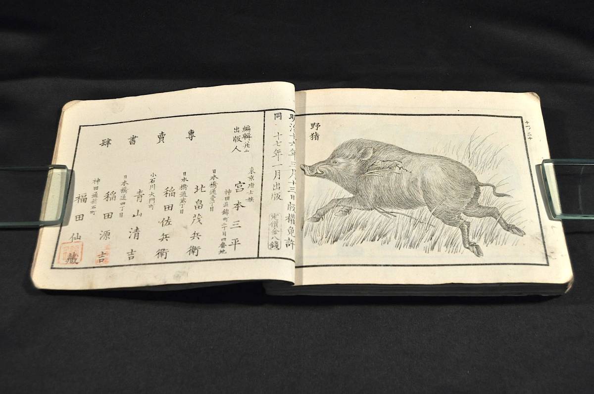 優れた品質 改正小學畫學本 第一・乙之部第一・第二・第五・甲之部第七・第七・第九・第十・第十一・第十二 和書 優れた品質 改正小學畫學本 第一・乙之部第一・第二・第五・甲之部第七・第七・第九・第十・第十一・第十二 和書