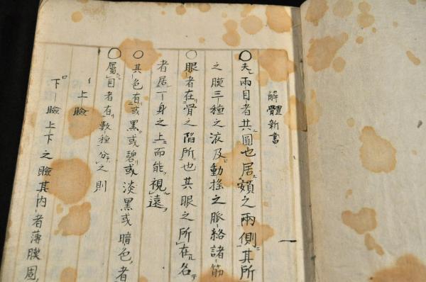河原崎晃洞編『聚古文様 三』昭和15年 芸艸堂刊 彩色木版画譜 河原崎晃洞編『聚古文様 三』昭和15年 芸艸堂刊 彩色木版画譜