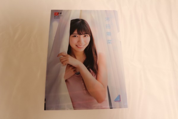 クリアファイル 日向坂46 丹生明里 河田陽菜_画像1