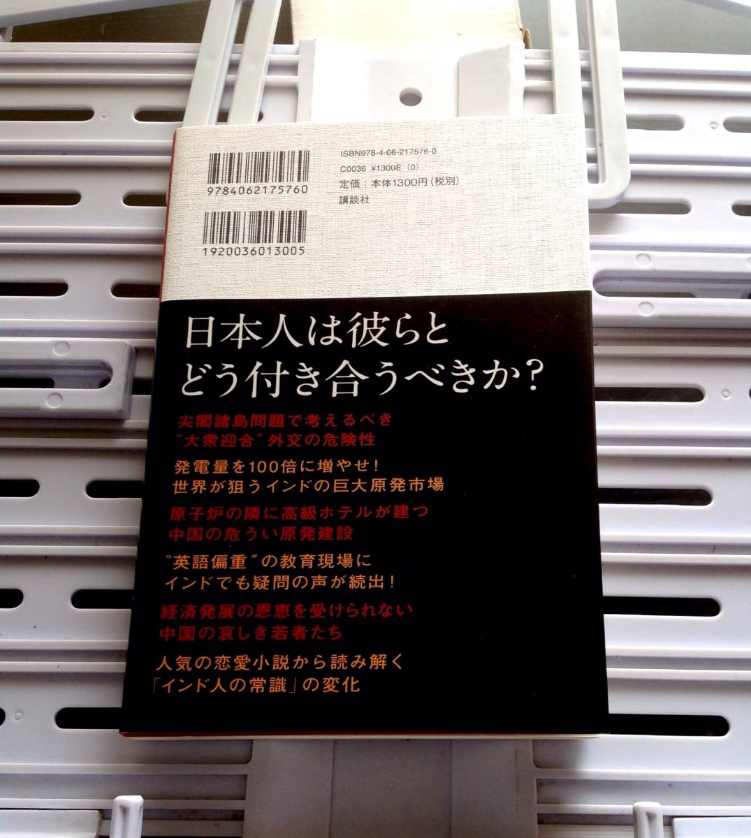 書籍：比較で読み解く 中国人とインド人_画像6