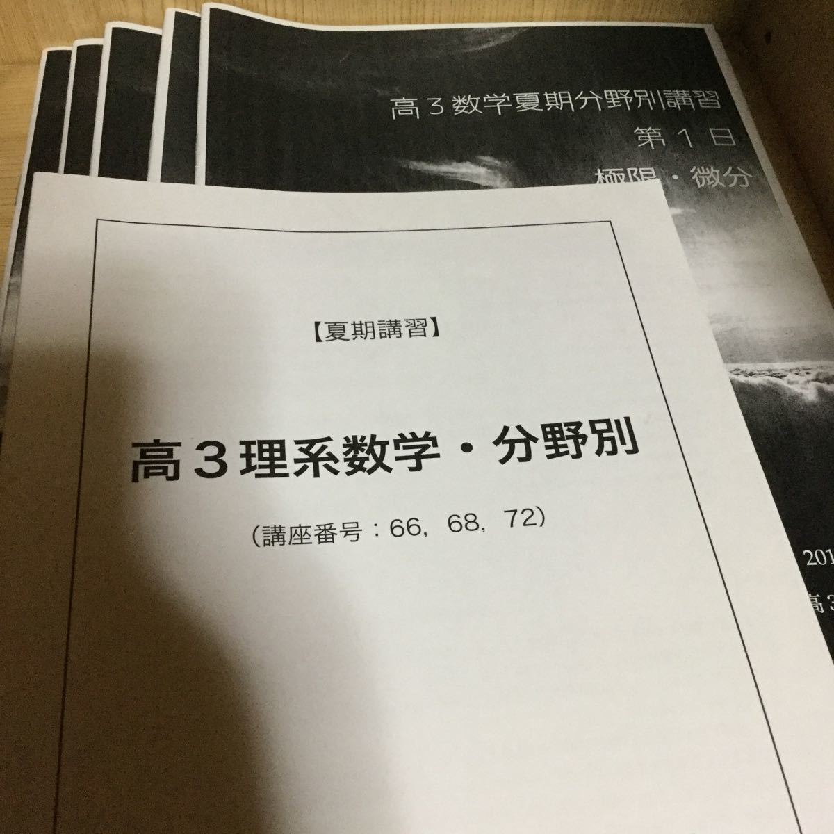 超特価開催 鉄緑会 高3理系数学分野別 数学