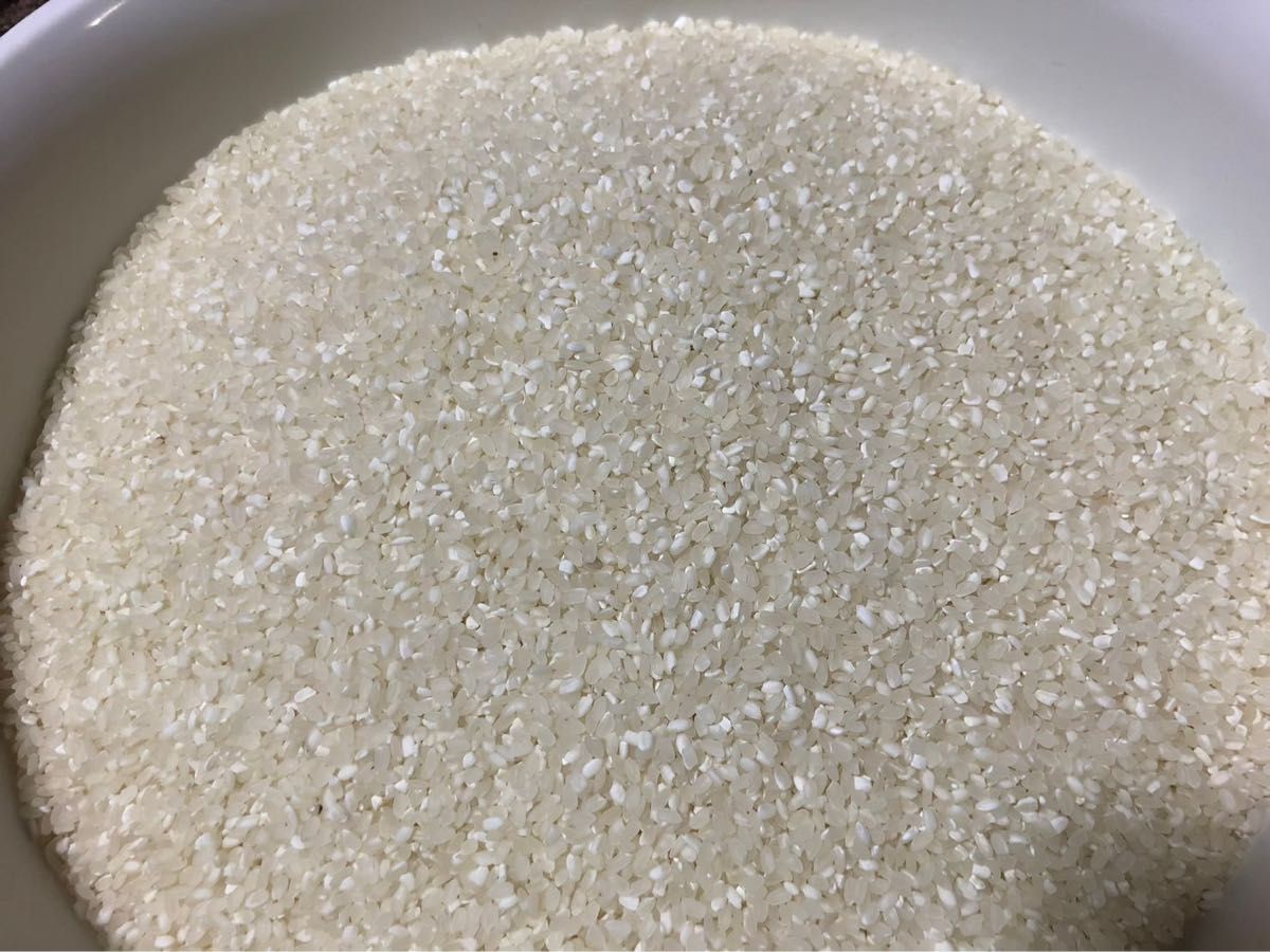 発送予定　鹿児島県　農家直送　ヒノヒカリ　10kg 精米済　無洗米　