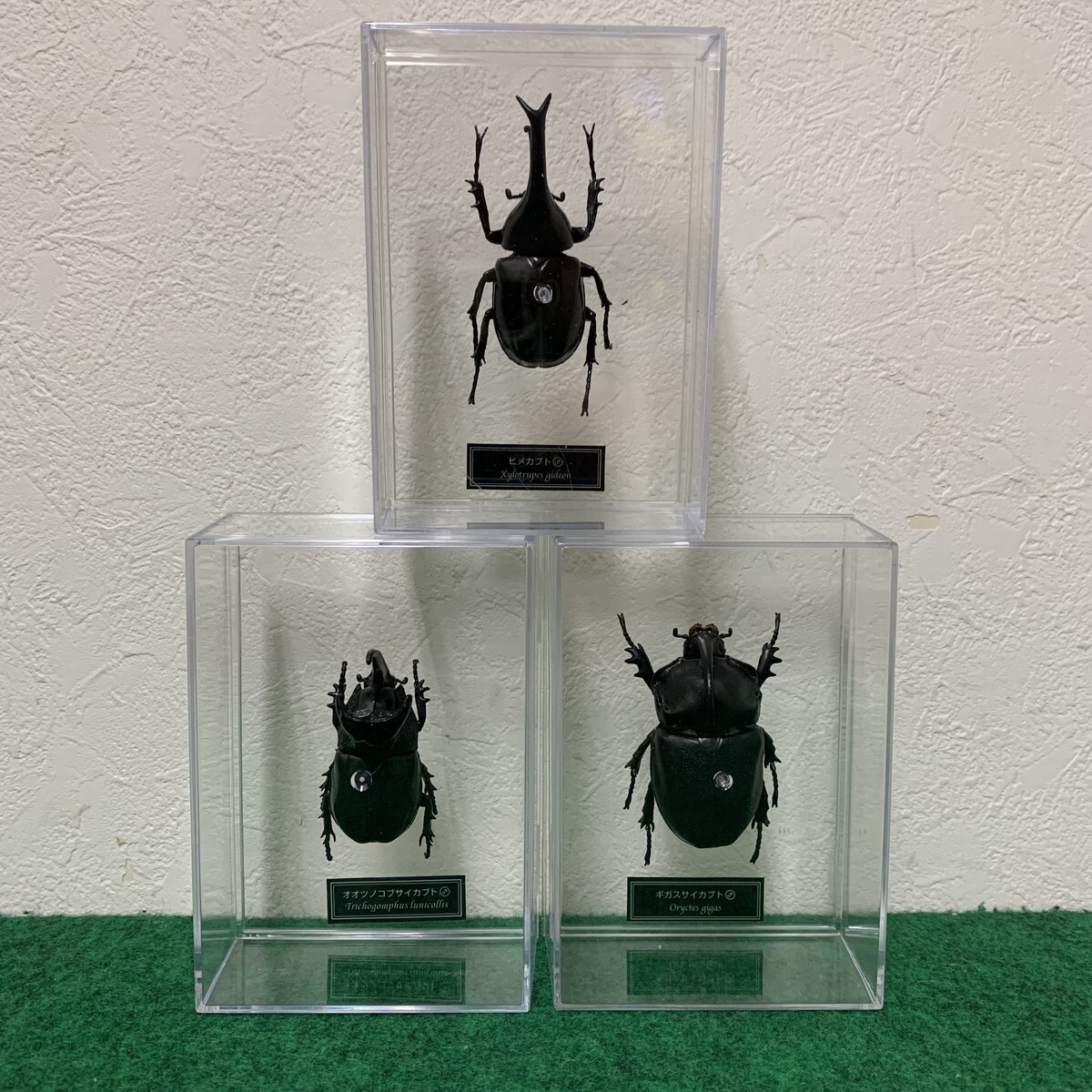 未開封品】DeAGOSTINI ディアゴスティーニ 世界の昆虫 未開封品】DeAGOSTINI ディアゴスティーニ 世界の昆虫