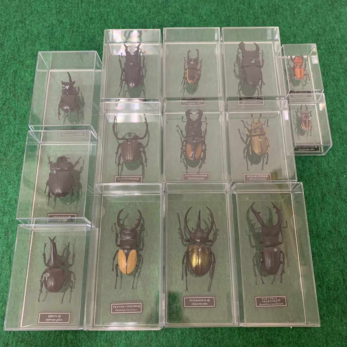 未開封品】DeAGOSTINI ディアゴスティーニ 世界の昆虫 未開封品】DeAGOSTINI ディアゴスティーニ 世界の昆虫
