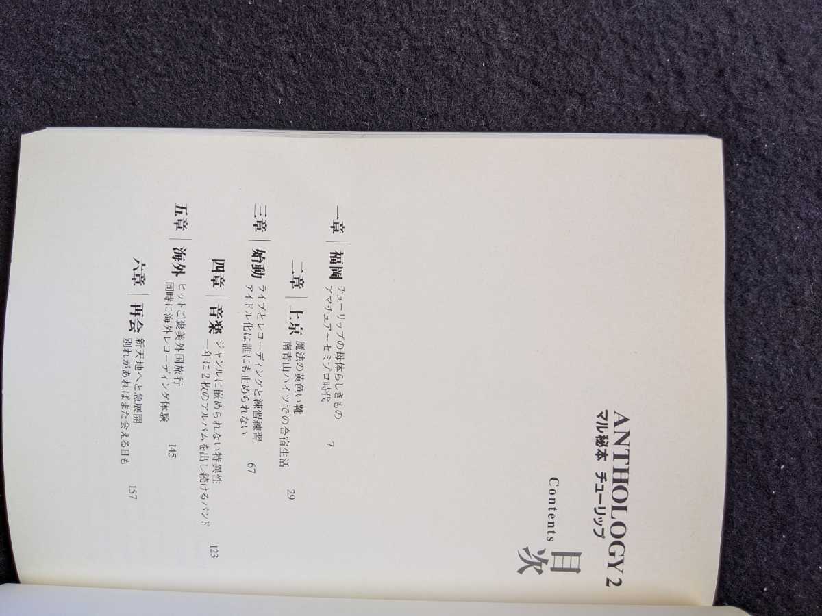 チューリップ ANTHOLOGY 2 バンドの結成 解散 再結成 アマチュア チューリップ ANTHOLOGY 2 バンドの結成 解散 再結成 アマチュア