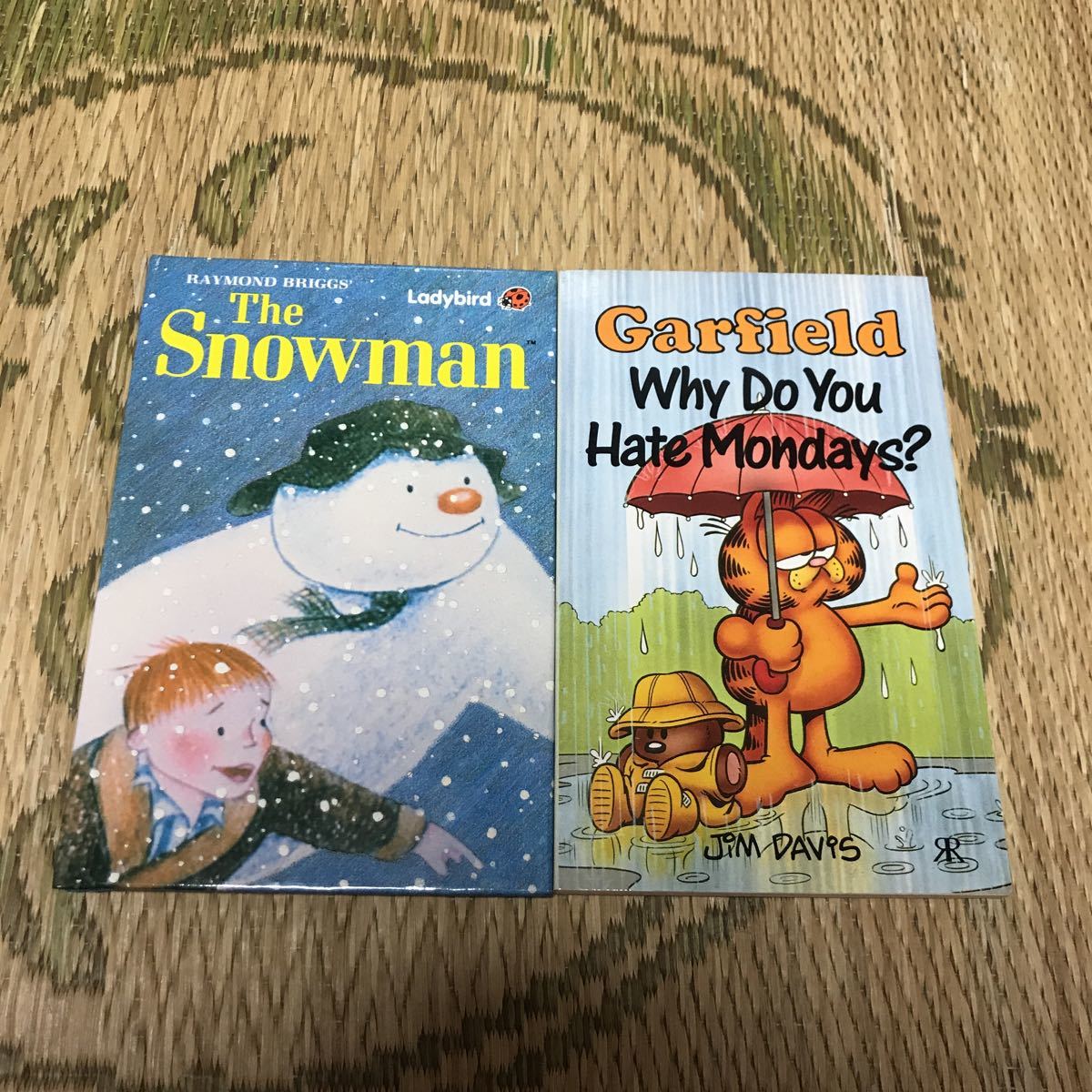 ヤフオク 英語絵本 英語 本 The Snow Man Garfield Why Do