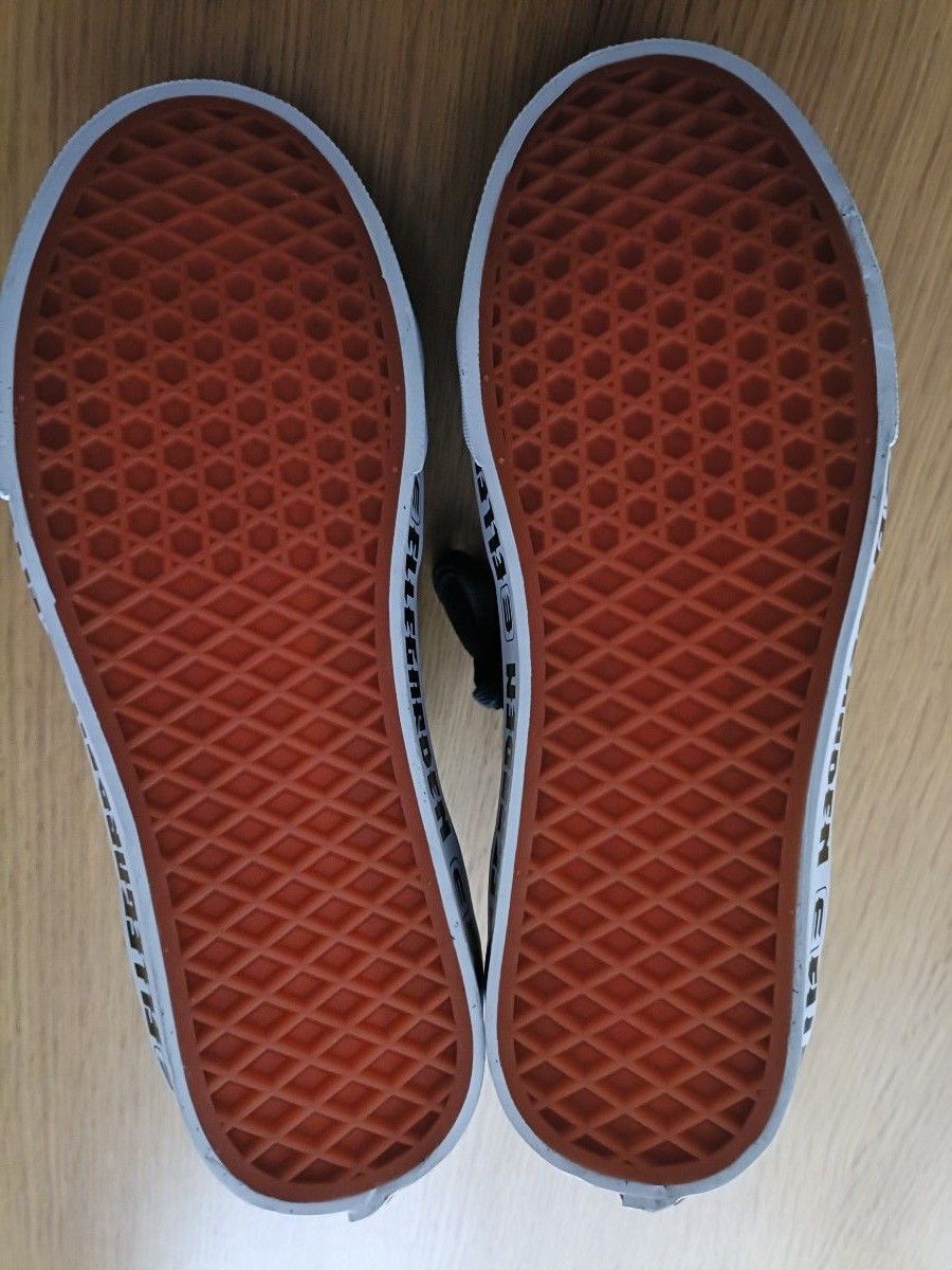 エルレガーデン スケハイ ELLEGARDEN Vans エルレ バンズ コラボ エルレガーデン スケハイ ELLEGARDEN Vans エルレ バンズ コラボ