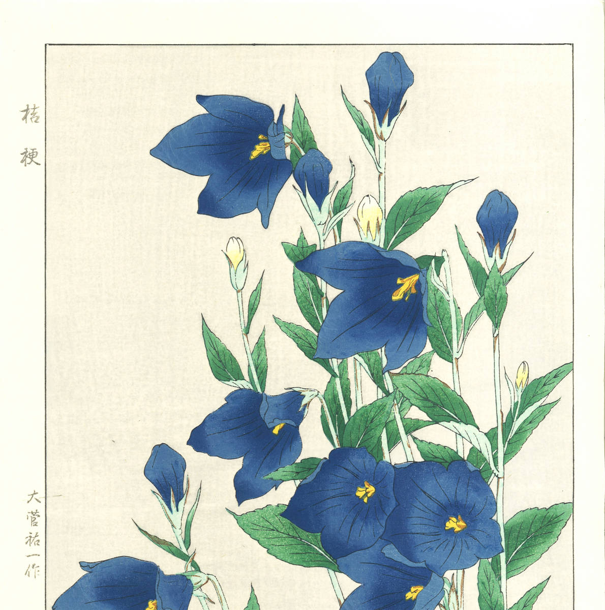 大菅祐一 (Osuga Yuichi) (1939~) 木版画 F179 桔梗 (Bell-flower)　初版昭和中期～京都の一流の摺師の技をご堪能下さい!_画像3