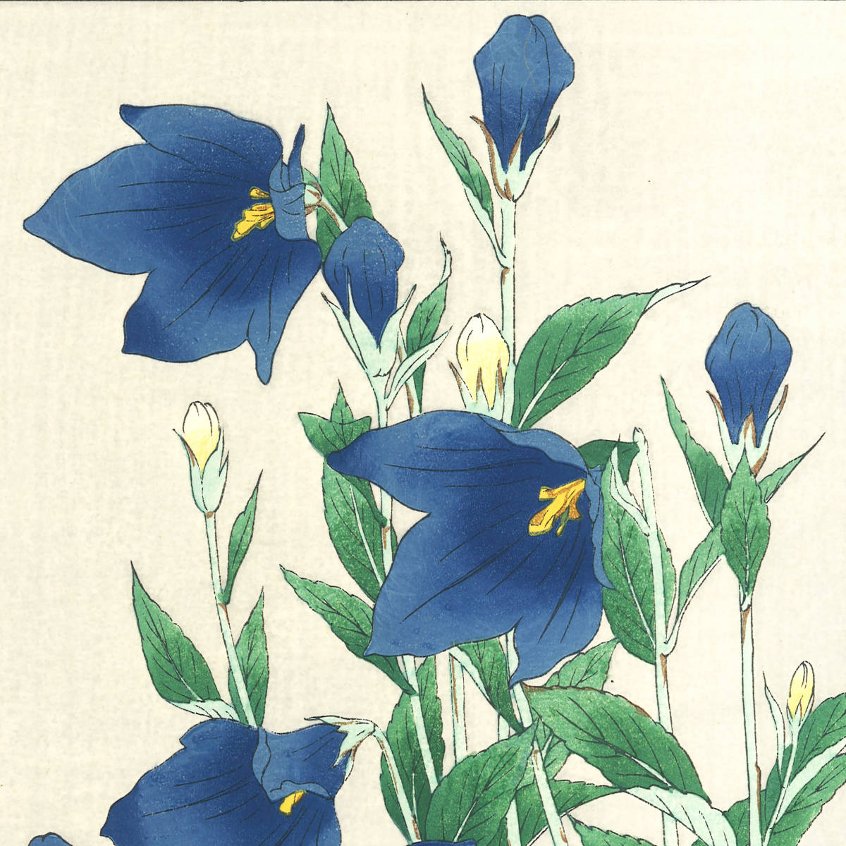 大菅祐一 (Osuga Yuichi) (1939~) 木版画 F179 桔梗 (Bell-flower)　初版昭和中期～京都の一流の摺師の技をご堪能下さい!_画像9