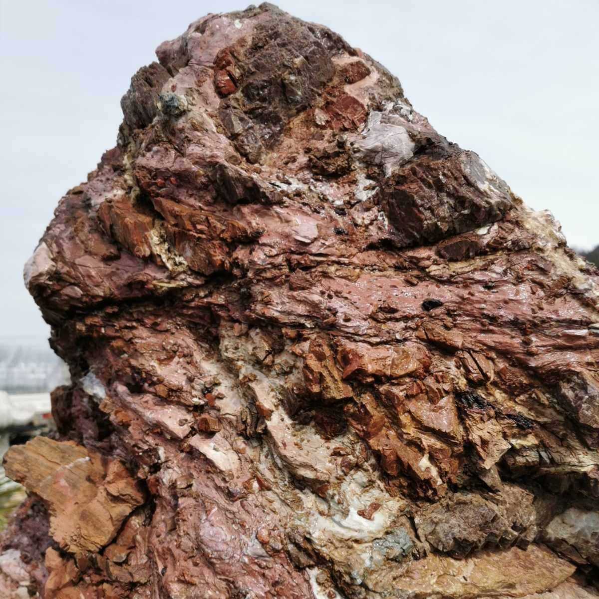 北海道産鎧石2トン 庭石鑑賞石盆石水石灯籠庭坪庭造園 北海道産鎧石2トン 庭石鑑賞石盆石水石灯籠庭坪庭造園