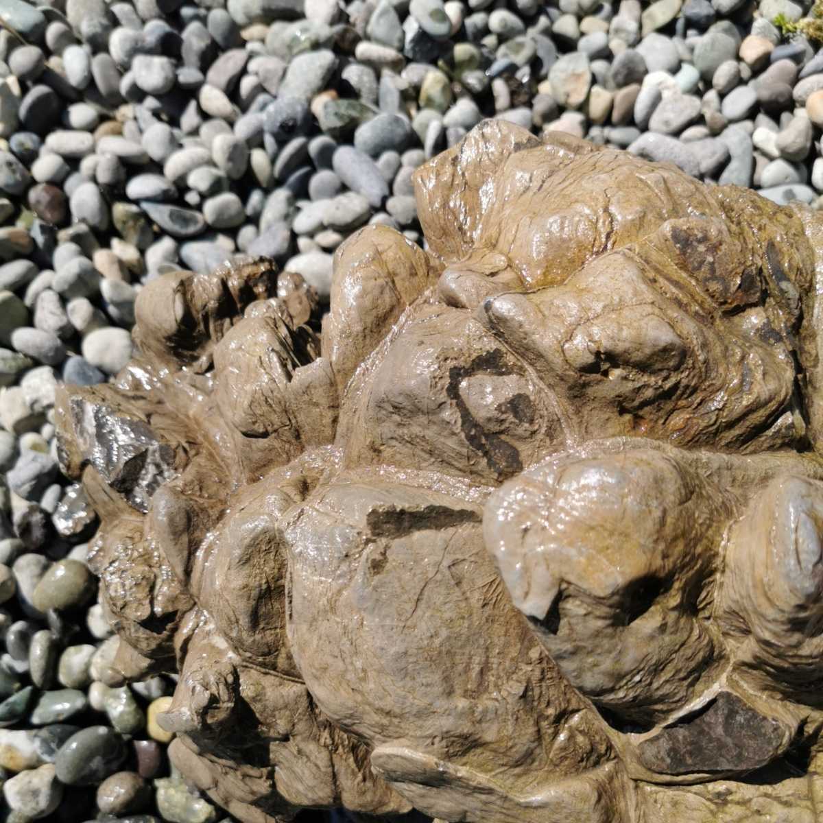 秩父三田川石16キロ 庭石鑑賞石盆石水石盆栽灯籠庭坪庭造園