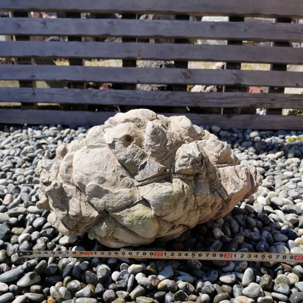 秩父三田川石16キロ 庭石鑑賞石盆石水石盆栽灯籠庭坪庭造園