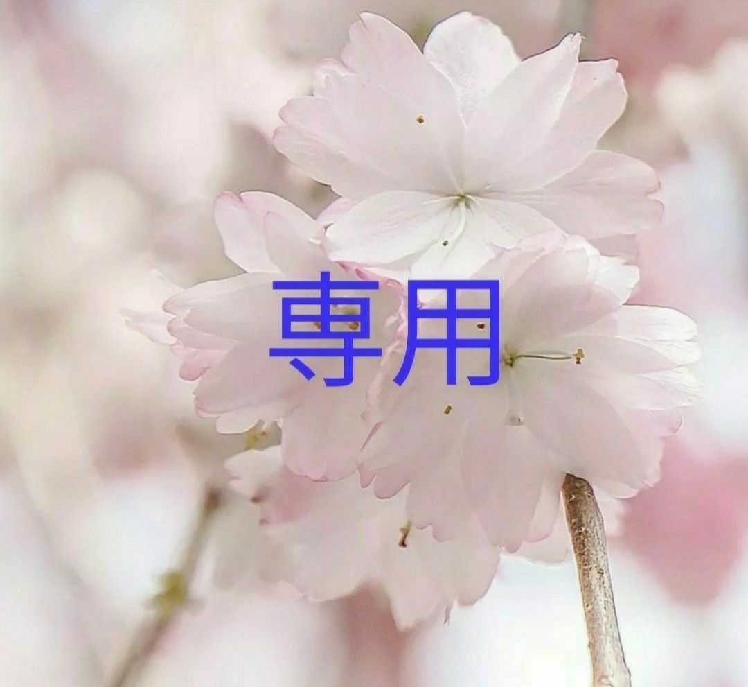 DHC ナットウキナーゼ30日分 12袋 個数変更可