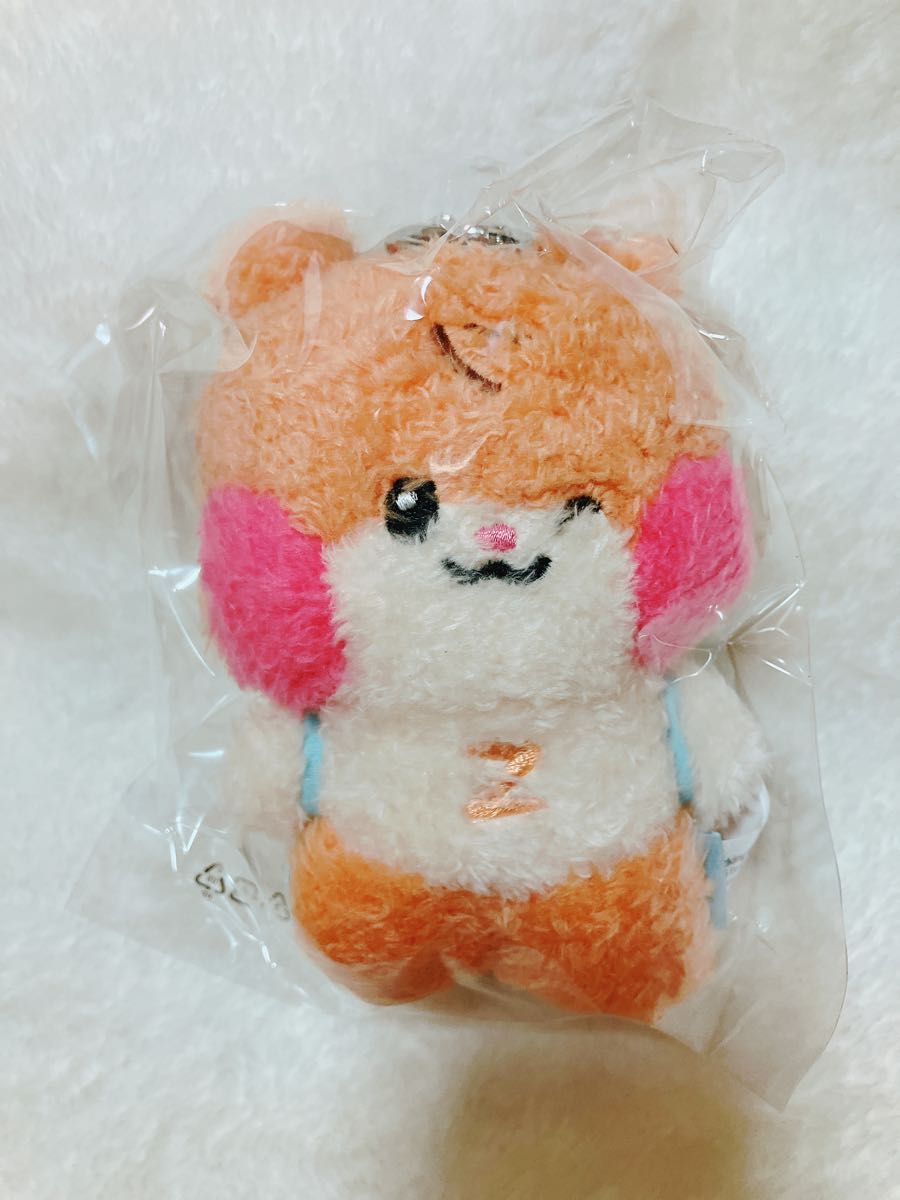 ソンハンビン ビニニ zb1 zeroni メッセージぬいぐるみ ソンハンビン ビニニ zb1 zeroni メッセージぬいぐるみ