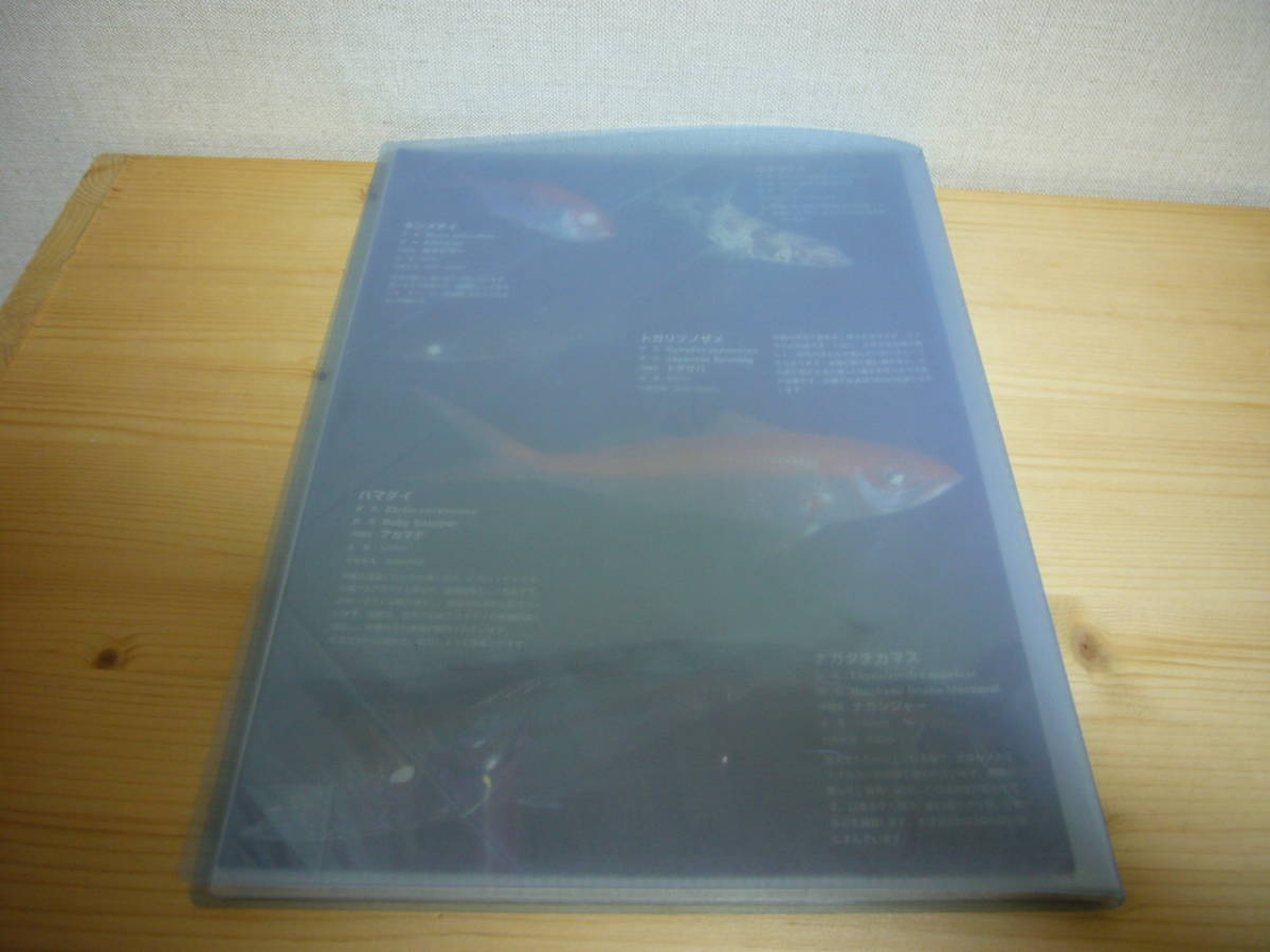 沖縄 美ら海水族館 観察ガイド 全16種32ページ ファイル付き_画像2