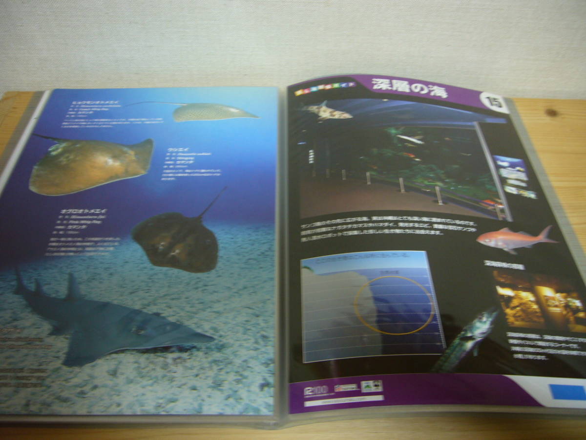 沖縄 美ら海水族館 観察ガイド 全16種32ページ ファイル付き_画像5