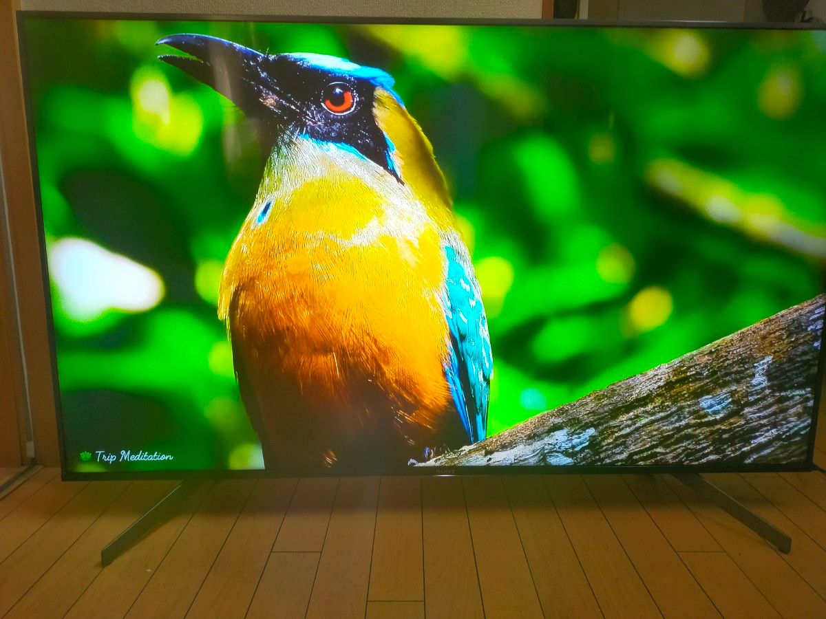 SONY BRAVIA KJ-55x8550G【LEDバックライト新品交換済】|Yahoo SONY BRAVIA KJ-55x8550G【LEDバックライト新品交換済】|Yahoo