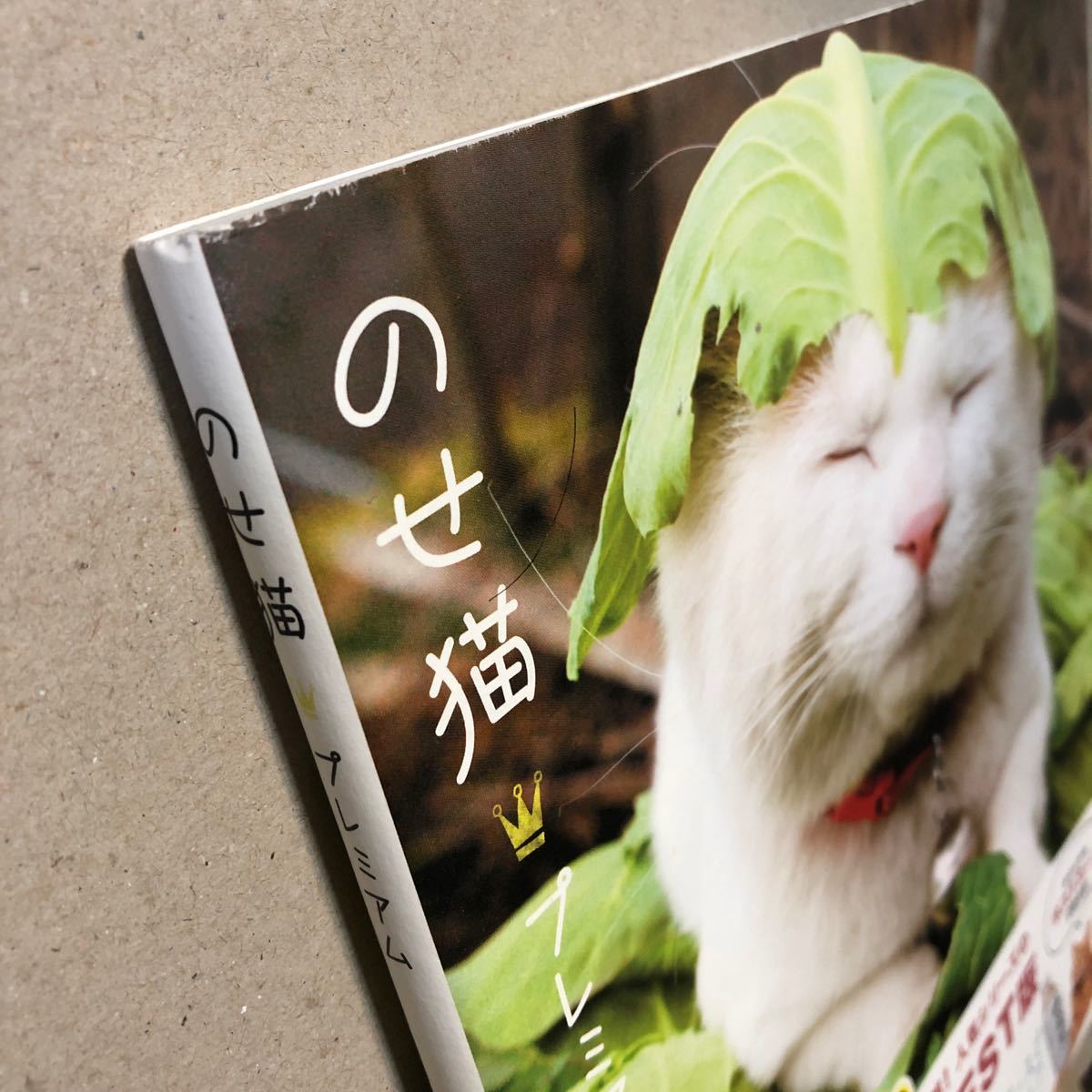 のせ猫　プレミアム　宝島社　SHIRONEKO かわいい　写真集