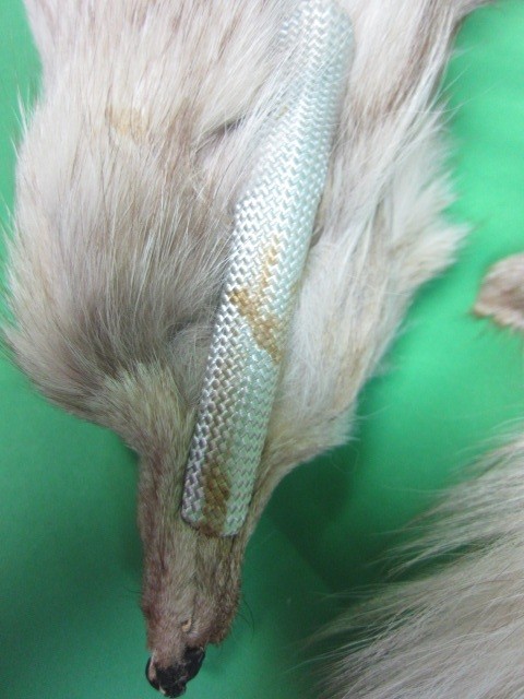 リアルファー キツネの足と顔付き 1匹物の襟巻き マフラー ショール 