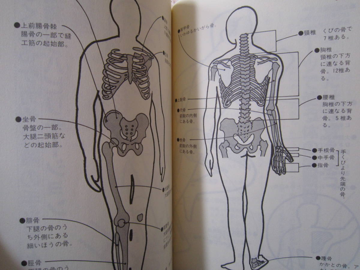 ☆スポーツのケガと痛みを治す本☆テーピング マッサージ ストレッチング 運動 怪我 故障 治療 応急処置 接骨院 整骨院 病院 医師 保健体育_画像7