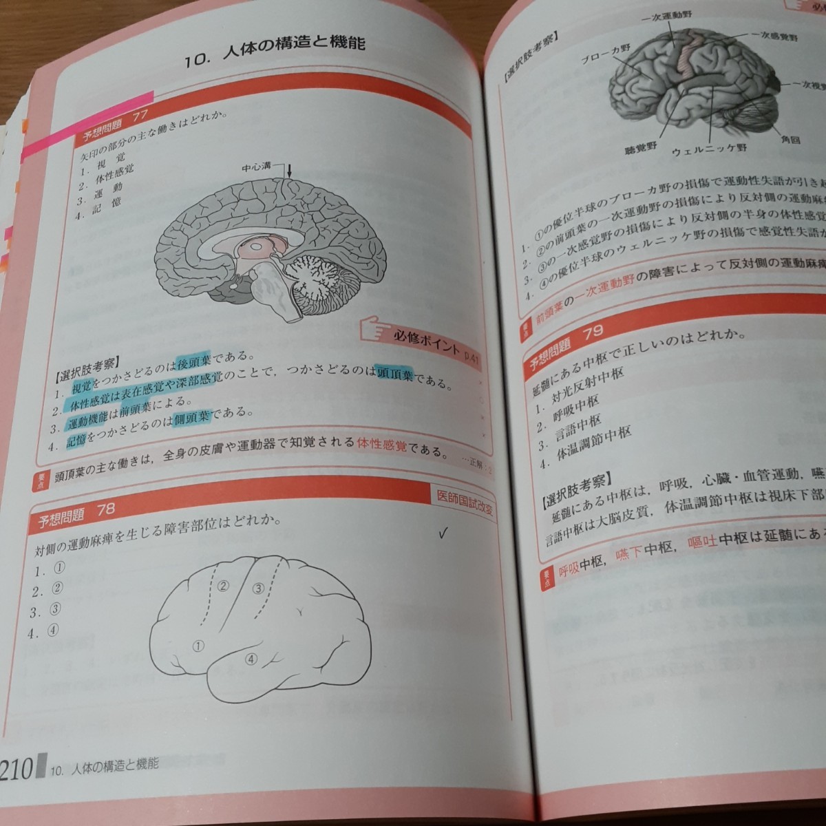 必修ラ・スパ 看護師国試対策 2020 問題集