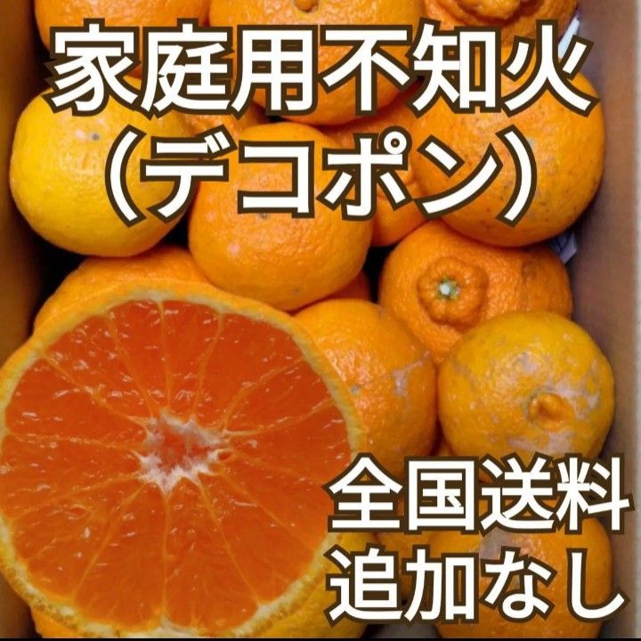 長崎マルナン「温室せとか」約3キロ 長崎マルナン「温室せとか」約3キロ