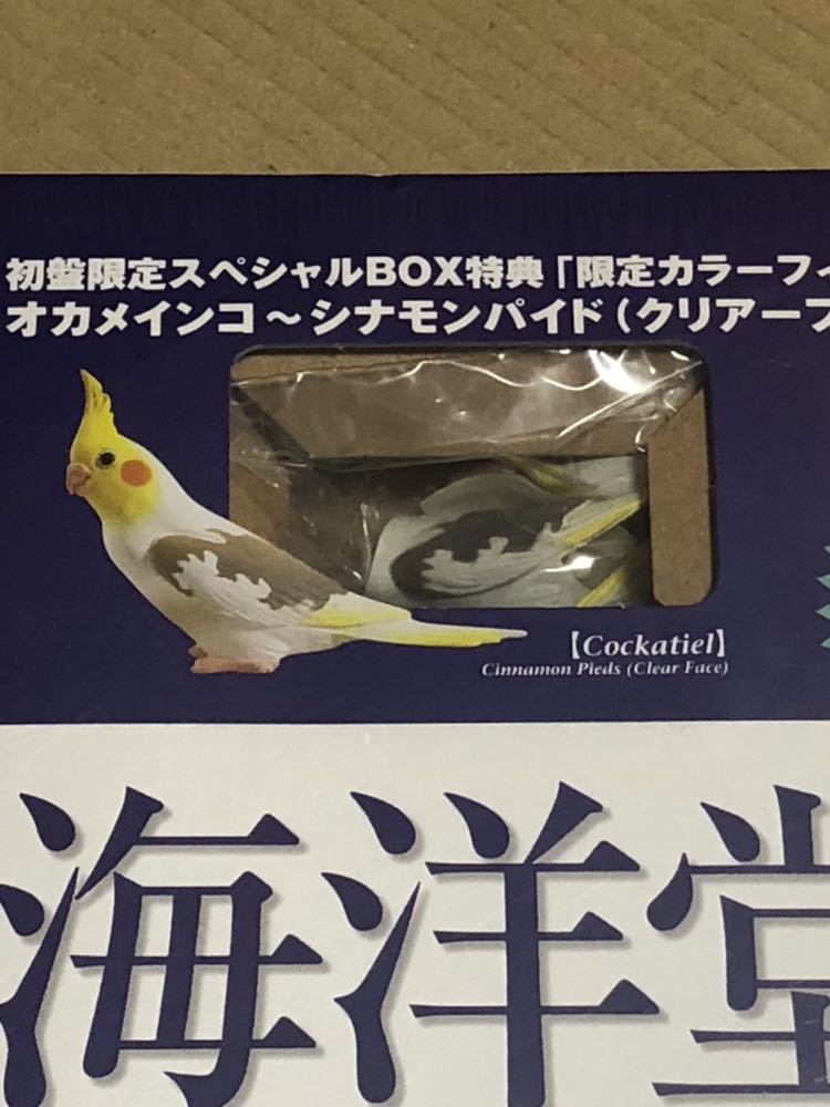 【未開封】海洋堂 動物フィギュア アーカイヴ CD-ROM 4枚組 初盤限定スペシャルBOX チョコエッグ チョコQ