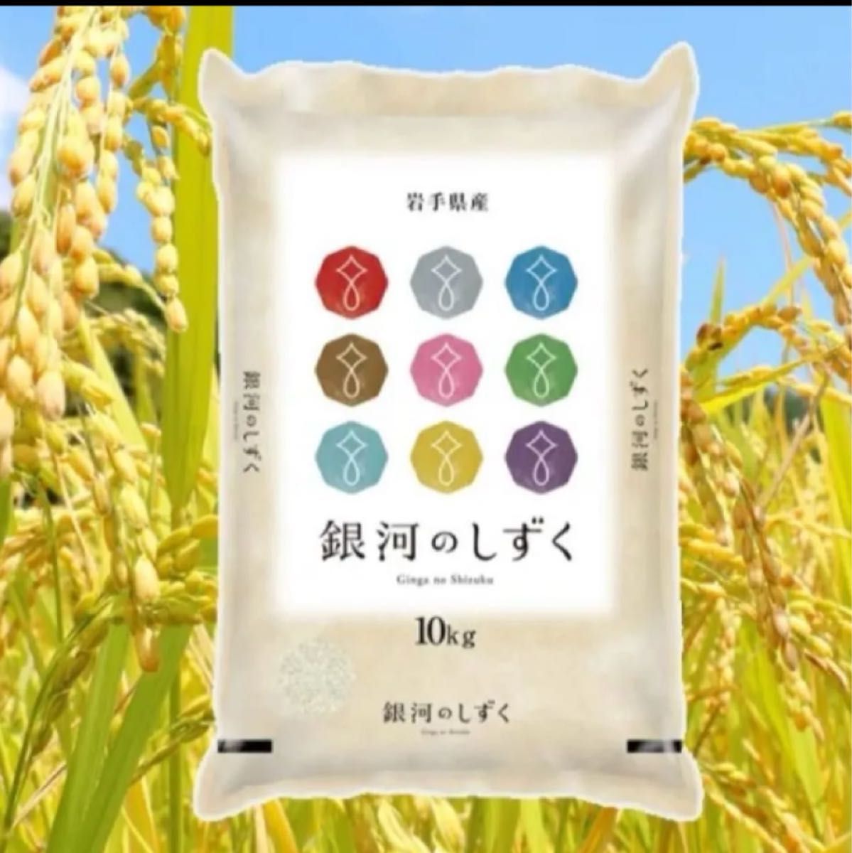 お米 精米 令和6年産岩手県産銀河のしずく10kg 7年連続特A評価獲得 ファーストクラスで使用されている美味しいお米