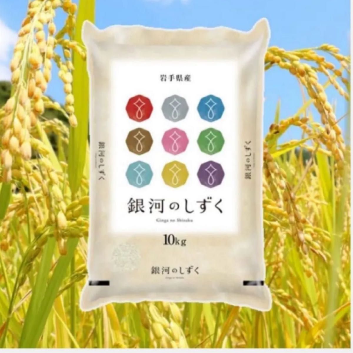 お米 精米 令和6年産岩手県産銀河のしずく10kg 7年連続特A評価獲得 ファーストクラスで使用 カテゴリ変更可!送料無料!