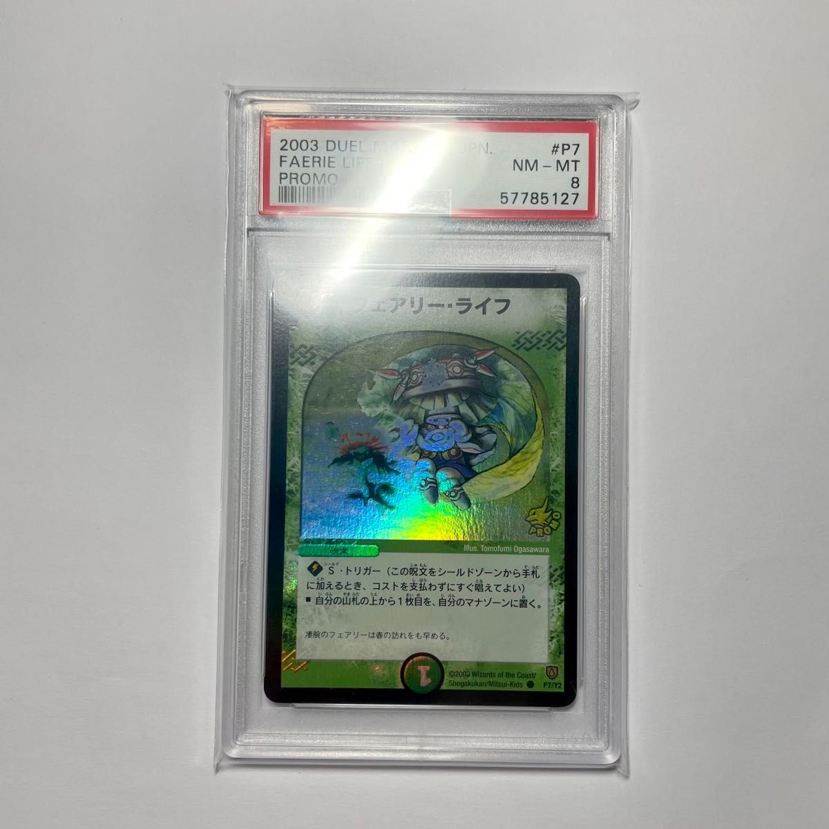 【PSA8】フェアリーライフ プロモ 356 PSA8】フェアリーライフ プロモ 356 トレーディングカード