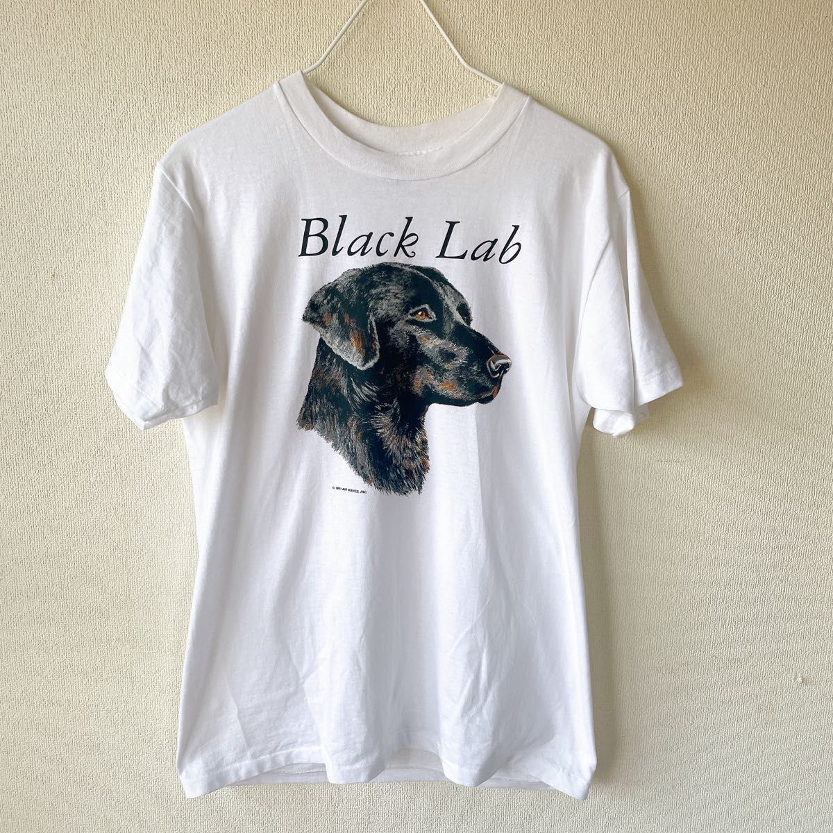 90s Hanes ブラックラブラドール Tシャツ M ヴィンテージ 犬T
