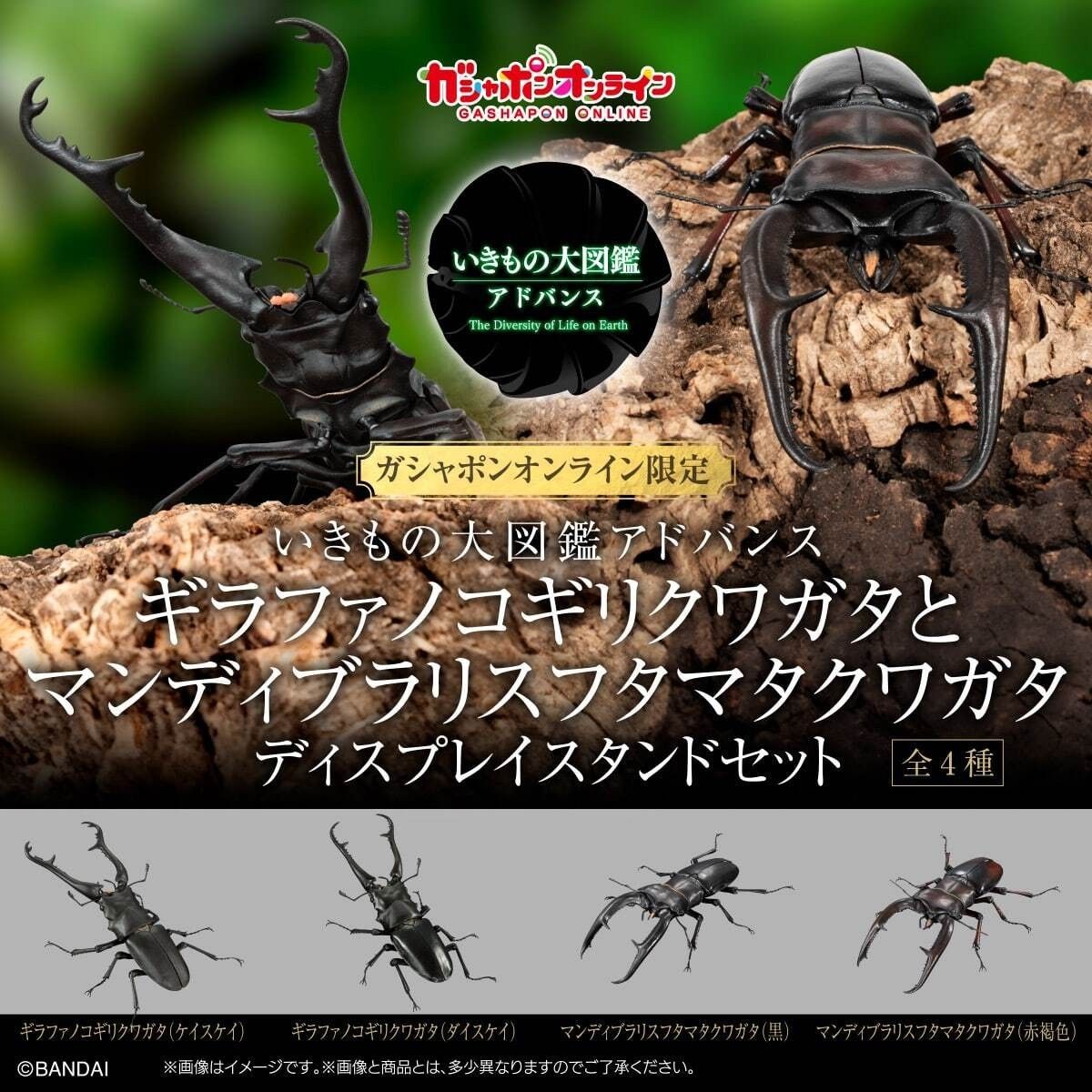 いきもの大図鑑アドバンス ギラファノコギリクワガタ マンディブラリスフタマタクワガタ ディスプレイスタンドセット全4種セット 後肢