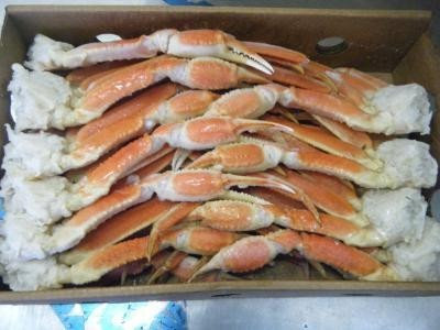  large price decline v 5kg stock adjustment -19800 jpy * Boyle snow crab section 5kg/2L most high quality!