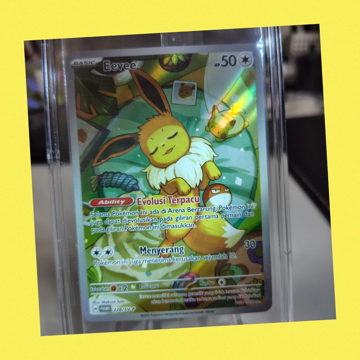 ポケモンカード 228 SV-P 192 Eevee イーブイ プロモ テラスタル ポケモンカード 228 SV-P 192 Eevee イーブイ プロモ テラスタル